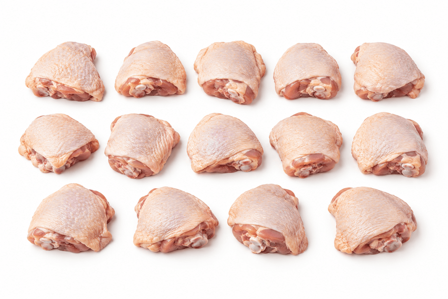 Ilustrasi AI ayam potong 14 / ayam parting 14