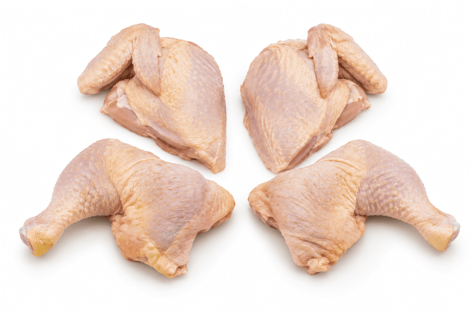 Ilustrasi AI ayam potong 4 / ayam parting 4