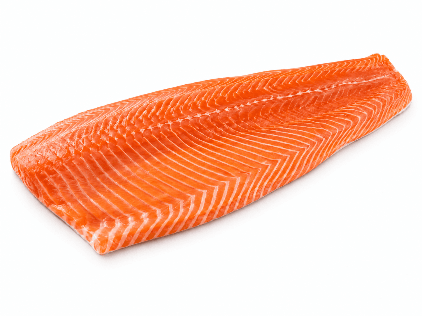 Ilustrasi daging ikan